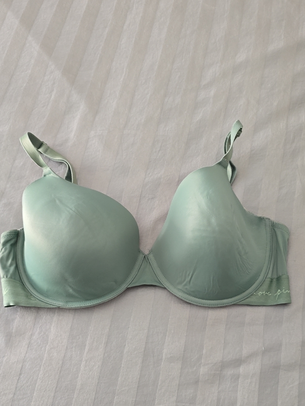 Victoria's Secret Pink 38DD